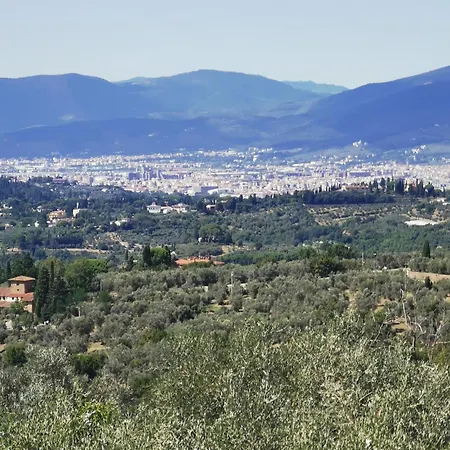 Mezzomonte View